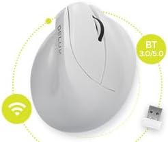 DELUX Wireless Ergonomic Mouse Vertical Mouse for Small Hand Silent Click Ergonomic Mouse Up to 4000 DPI 6 Buttons BT 5.0/2.4G Dual Mode for Carpal Tunnel for Laptop/PC (M618MINI DB-White)
