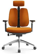 Office Chair Gaming Chair Computer Chair Creative Computer Chair Ergonomic Spine Chair Simple Waist Double Back Chair Mesh Office Chair (Color : White-Space Element (1) 3)