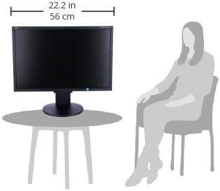 NEC Display Widescreen LED EA223WM-BK 22-Inch Screen LED-Lit Monitor