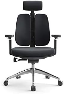 Office Chair Gaming Chair Computer Chair Creative Computer Chair Ergonomic Spine Chair Simple Waist Double Back Chair Mesh Office Chair (Color : Svart)