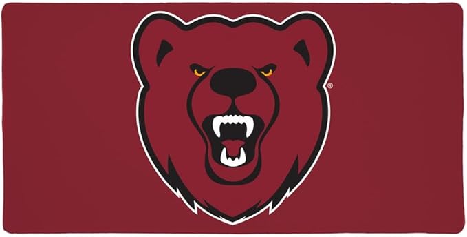 Ursinus College Primary Logo Large Gaming Mouse Pad Desk Mat with Stitched Edges Non-Slip Base for Gamer Home and Office 31.5 x 15.7