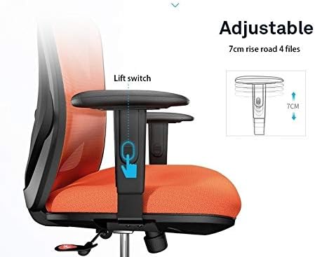 Office Chair Gaming Chair Computer Chair Executive Office Chair - High Back Office Chair with Footrest and Thick Padding - Reclining Computer Chair with Ergonomic Segmented Back Blac