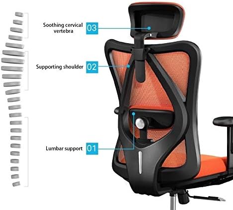 Office Chair Gaming Chair Computer Chair Executive Office Chair - High Back Office Chair with Footrest and Thick Padding - Reclining Computer Chair with Ergonomic Segmented Back Black