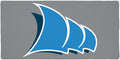 College of Coastal Georgia CCGA Mariners Primary Logo Large Gaming Mouse Pad Desk Mat with Stitched Edges Non-Slip Base for Gamer Home and Office 31.5 x 15.7