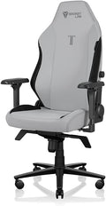 Secretlab Titan Evo Ash Gaming Chair - Reclining Ergonomic &amp Heavy Duty Computer Chair with 4D Armrests Magnetic Head Pillow &amp Lumbar Support - Big and Tall Up to 395 lbs - Gray - Leatherett