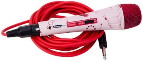 I Love U HANDHELD KARAOKE MIC