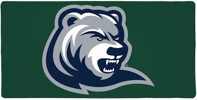 Drew University Rangers Primary Logo Large Gaming Mouse Pad Desk Mat with Stitched Edges Non-Slip Base for Gamer Home and Office 31.5 x 15.7