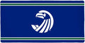 Salve Regina University Seahawks Primary Logo Stripes Large Gaming Mouse Pad Desk Mat with Stitched Edges Non-Slip Base for Gamer Home and Office 31.5 x 15.7