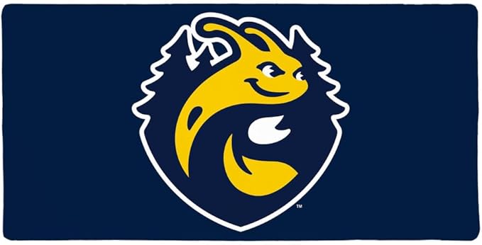 University of California-Santa Cruz Primary Logo Large Gaming Mouse Pad Desk Mat with Stitched Edges Non-Slip Base for Gamer Home and Office 31.5 x 15.7