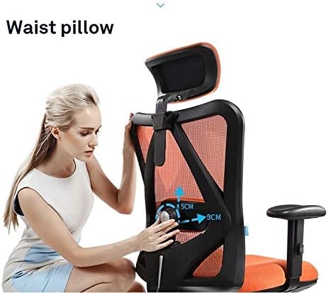 Office Chair Gaming Chair Computer Chair Executive Office Chair - High Back Office Chair with Footrest and Thick Padding - Reclining Computer Chair with Ergonomic Segmented Back Blac