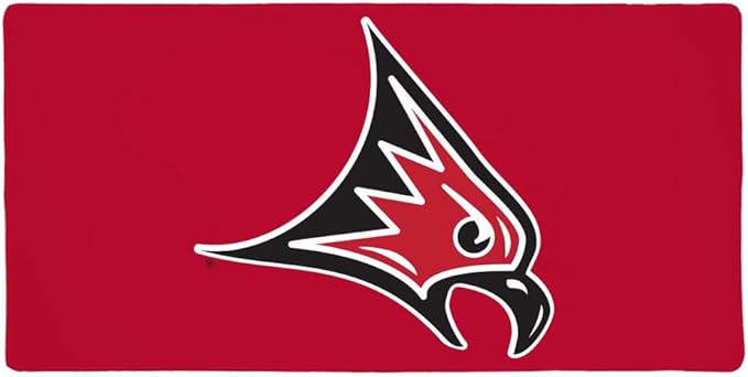 University of Wisconsin - River Falls Primary Logo Large Gaming Mouse Pad Desk Mat with Stitched Edges Non-Slip Base for Gamer Home and Office 31.5 x 15.7
