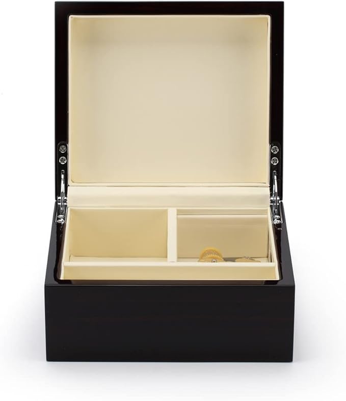 Contemporary 30 Note Hi Gloss Macassar Finish 3.6 LCD Video Jewelry Box - at Last