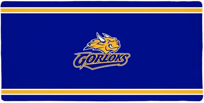 Webster Gorloks Primary Logo Stripes Large Gaming Mouse Pad Desk Mat with Stitched Edges Non-Slip Base for Gamer Home and Office 31.5 x 15.7