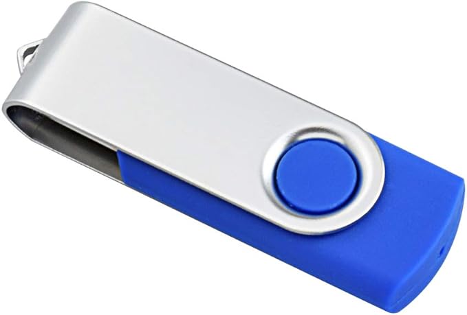 Aiibe 10 Pack 4GB Flash Drive USB Flash Drive Thumb Drives USB 2.0 Memory Stick Wholesale/Lot/Bulk (4GB 10 Pack Blue)