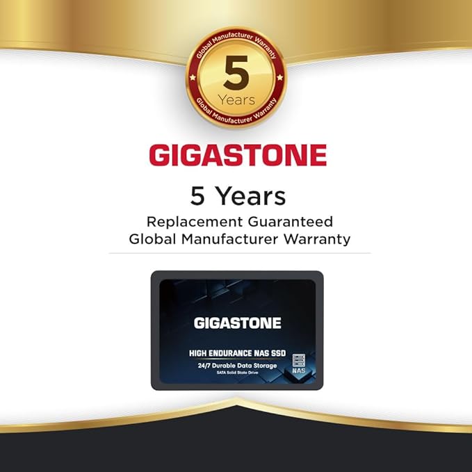 Gigastone 【NAS Certified】 High Endurance 512GB SSD (2-Pack) for Gaming/PC/Laptop/NAS SSD TLC 24/7 Reliable 2.5 SATA Internal Solid State Drives RAID Data Storage 2.5 inches SATA 3.0