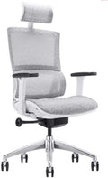 YYDS Chair Mesh Gaming Chair High-Back Executive Ergonomic Swivel Chair with Rotating Lifting Armrest and 2D Headrest Office Chair Ergonomically (Color : White)