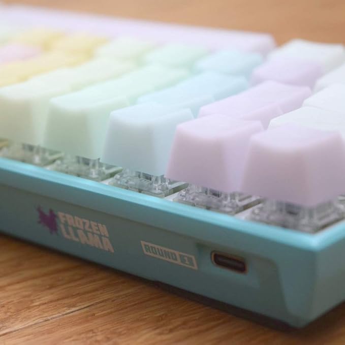 POM Jelly Keycaps Doubleshot Translucent OEM Profile for 61/87/104/108 Keys PC Gaming Mechanical Keyboards (Rainbow)