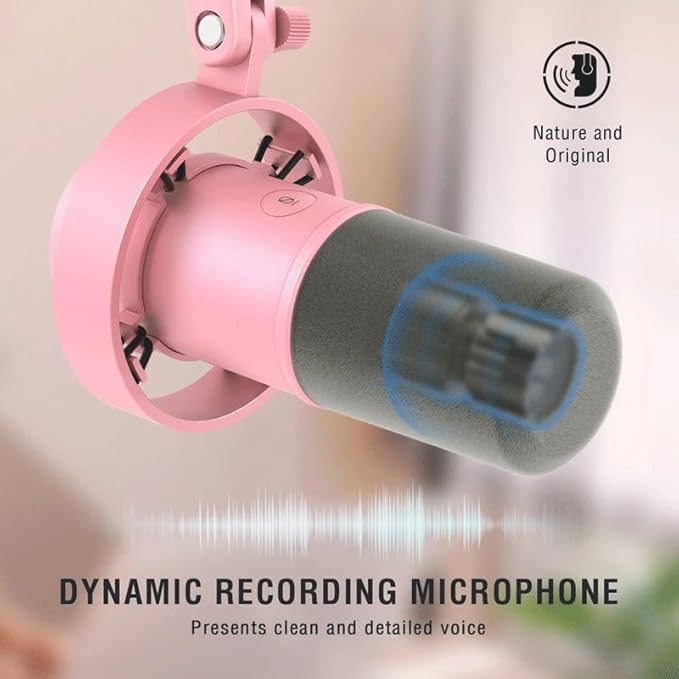 Dynamic Microphone for Recording Streaming Mic with Volume Control/Monitoring/Touch-Mute for PC (Black JoJo's Bizarre Adventure1)