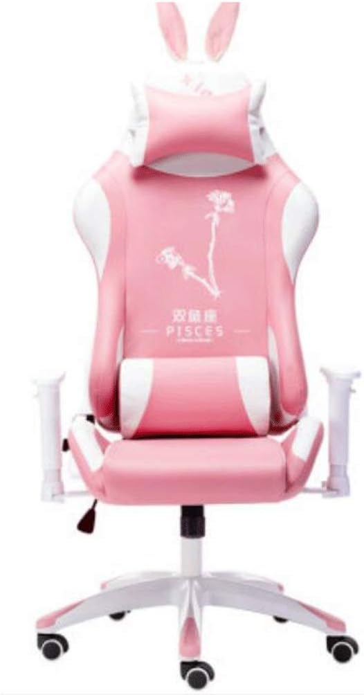 YYDS Chair E-Sports Gaming Chair Executive Ergonomic Constellation Swivel Chair Computer Chair with Headrest and Lumbar Pillow Ergonomically (Color : L)