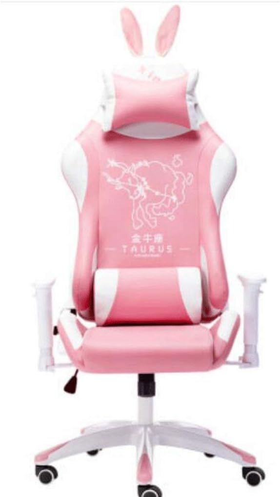 YYDS Chair E-Sports Gaming Chair Executive Ergonomic Constellation Swivel Chair Computer Chair with Headrest and Lumbar Pillow Ergonomically (Color : B)