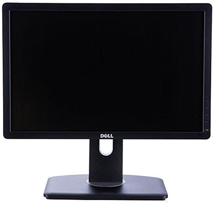 Dell Professional P1913 19-Inch PLHD Widescreen Monitor