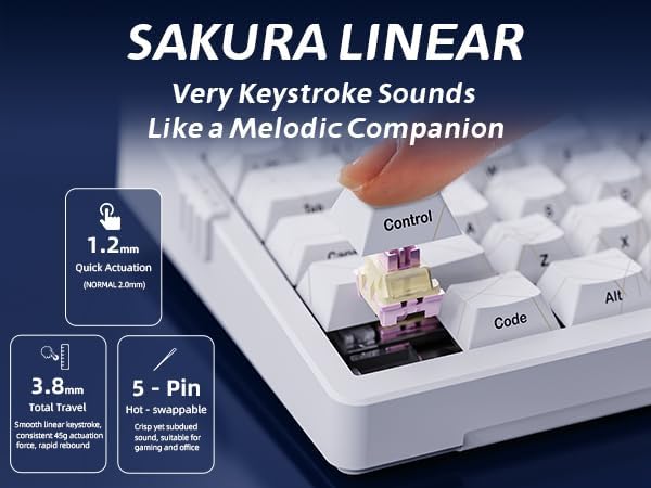 ZORNHER ZH980 Mechanical Keyboard Wireless95% White Creamy Keyboard with Number PadGaming Keyboard with Number PadShine Through Spider Web PC KeycapsCreamy Sounding Linear SwitchesFull Size