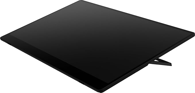 Ricoh 150BW Portable 15.6 Vivid OLED 350nit Lightweight Display Monitor and Touchscreen w/Dual Speakers Wireless with Multicasting Battery Powered - for Laptop Desktop Mac PC