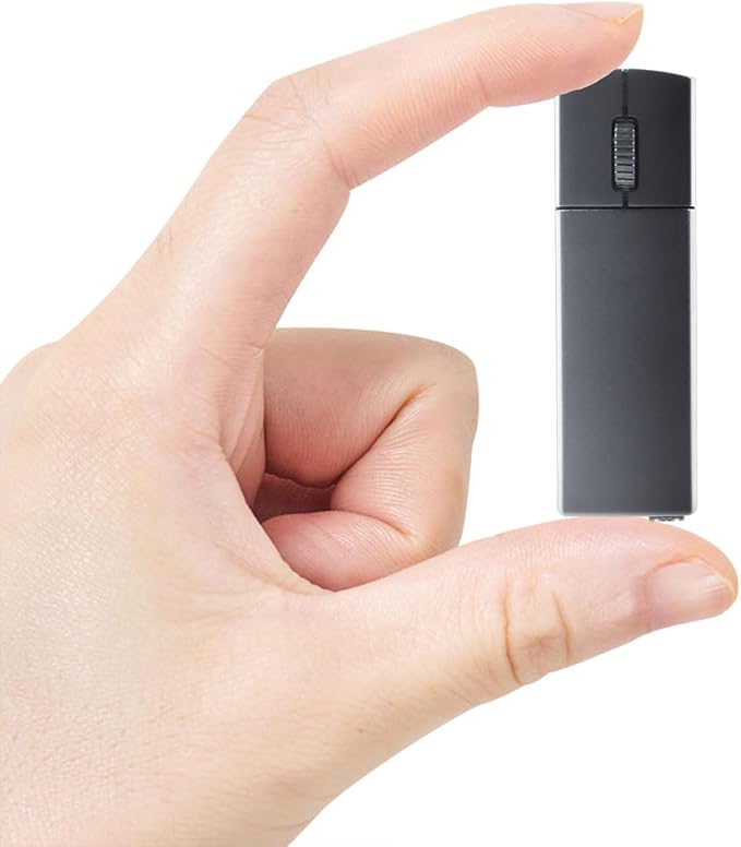 Ultra Small Bluetooth Wireless Mouse Dual Mode (BT+2.4G) Noiseless Rechargeable (with Mouse Case) 1200 DPI Slim and Portable Mini Travel Cordless Mice for PC Computer Laptop (Black)