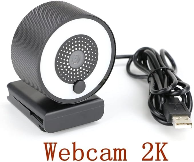 HD Autofocus Webcam Light with Tripod Stand 1080P 2K Web Camera for PC Computer Camera with Microphone Ring Light Web Cam Ultra High Definition (Color : Type 1) (No Stand)