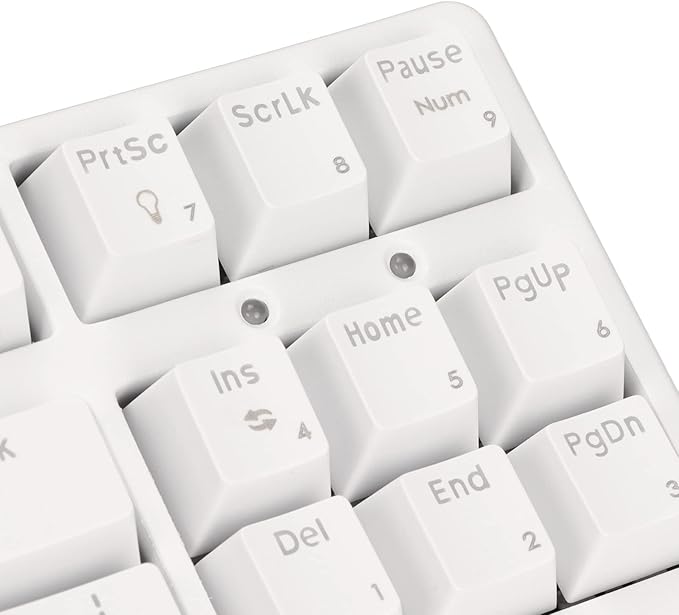 Mechanical Gaming Keyboard 87 Key Wired Stepped Ergonomic Design Keyboard White Light Compact PC Keyboardwith Blue Switches (White)