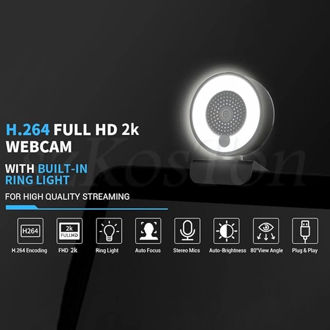 HD Autofocus Webcam Light with Tripod Stand 1080P 2K Web Camera for PC Computer Camera with Microphone Ring Light Web Cam Ultra High Definition (Color : Type 1) (No Stand)