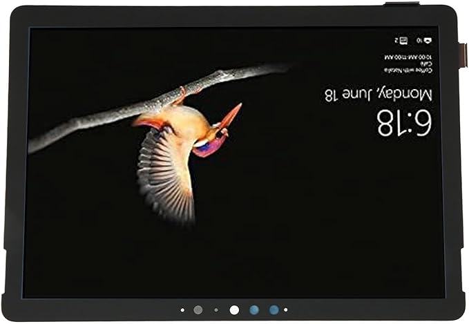 10.5 Inch Laptop LCD The
