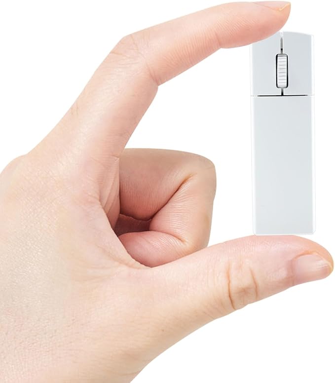 Ultra Small Bluetooth Wireless Mouse Dual Mode (BT+2.4G) Noiseless Rechargeable (with Mouse Case) 1200 DPI Slim and Portable Mini Travel Cordless Mice for PC Computer Laptop (White)