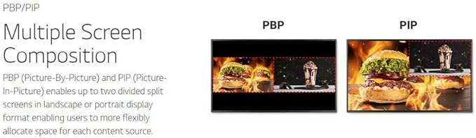 LG 43 LED Display