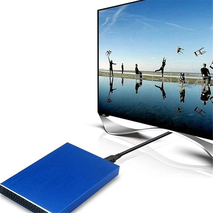 HDD 2.5 Hard Disk 500GB 1TB 2TB Portable External Hard Drive Disk Externo Hard Drive for Laptop Computers (Color : D) (D)