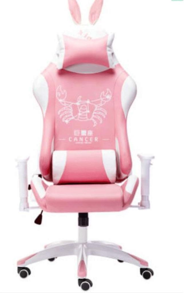 YYDS Chair E-Sports Gaming Chair Executive Ergonomic Constellation Swivel Chair Computer Chair with Headrest and Lumbar Pillow Ergonomically (Color : D)