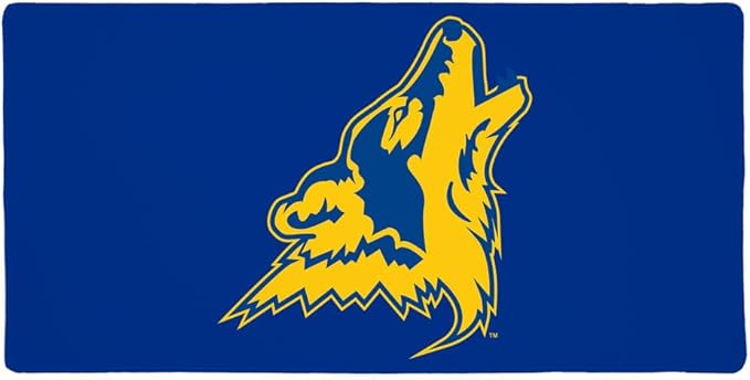 College of Southern Nevada Primary Logo Large Gaming Mouse Pad Desk Mat with Stitched Edges Non-Slip Base for Gamer Home and Office 31.5 x 15.7