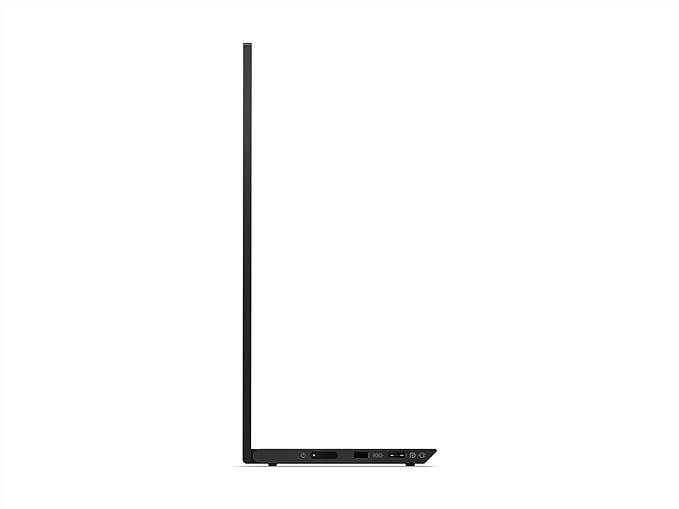 ThinkVision M14t USB-C Mobile Monitor with Touch Screen - Black
