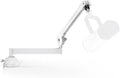 InnoGear Low Profile Mic Arm 360° Rotatable Microphone Boom Arm Mic Stand for Fifine AM8 K669B Blue Yeti HyperX QuadCast SoloCast AT2020 with Mic Clip 3/8 to 5/8 3/8 to 1/4 Adapter White