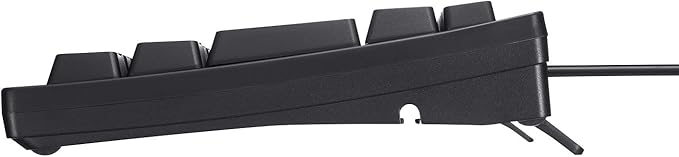 Sanwa Supply SKB-KG3UH2BK Compact Keyboard with USB Hub Black No Numeric Keypad