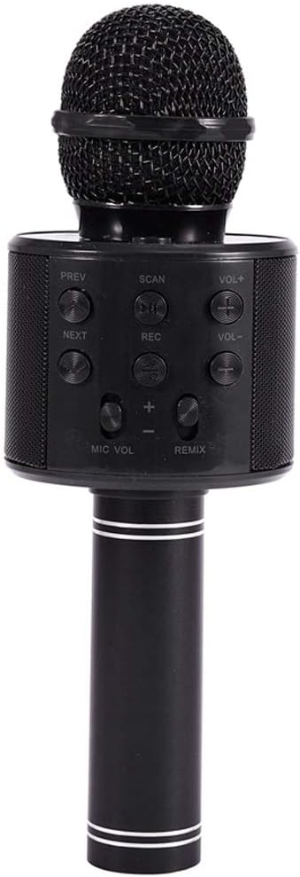 Portable Microphone Home Mic Stereo Speaker Player USB Studio KTV Music Online