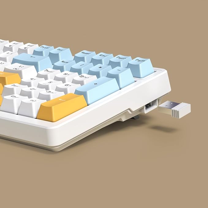 Wireless Mechanical Keyboard Triple Mode 2.4G/USB-C/BT Gaming Keyboards 100 Keys Ice-Blue Backlit Brown Switch Keyboard | Rechargeable Mechanical Gaming Keyboards | Ice Blue/W/Y
