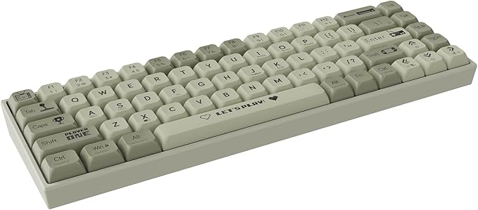 AK680 Wired Compact Mechanical Keyboard 68 Keys Grey-White Layout Hot-Swappable Tactile Brown Switch Gaming Keyboard with Multicolor Backlight Eva Foam Dampening for Gaming &amp Typing
