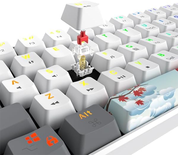 60% Mechanical Keyboard 61-Key Wired Gaming Keyboard with Red Switch RGB Lighting Effect PBT Keycaps Ultra-Compact Mini Keyboard Suitable for Win/Mac(61 White)