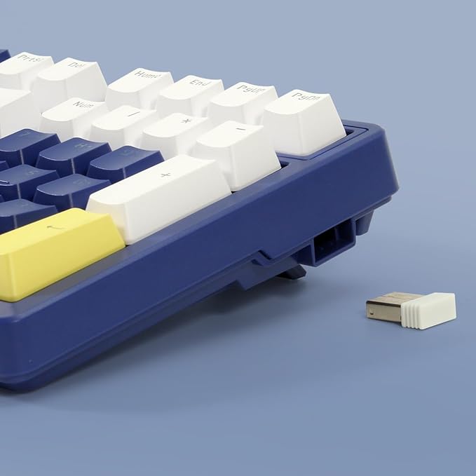 Wireless Mechanical Keyboard Triple Mode 2.4G/USB-C/BT Gaming Keyboards 100 Keys Ice-Blue Backlit Brown Switch Keyboard | Rechargeable Mechanical Gaming Keyboards | Blue/White/Yellow
