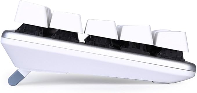 Qisan Happy Deals 10% Discount Off Mechanical Keyboard Gaming Keyboard Blue Switch 68-Keys Mini Design (60%) Gaming Wired Keyboard White Silver Magicforce