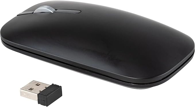 Digital Innovations LoPro Wireless Abidextrous Optical 2.4 GHz Mouse Black (32312)