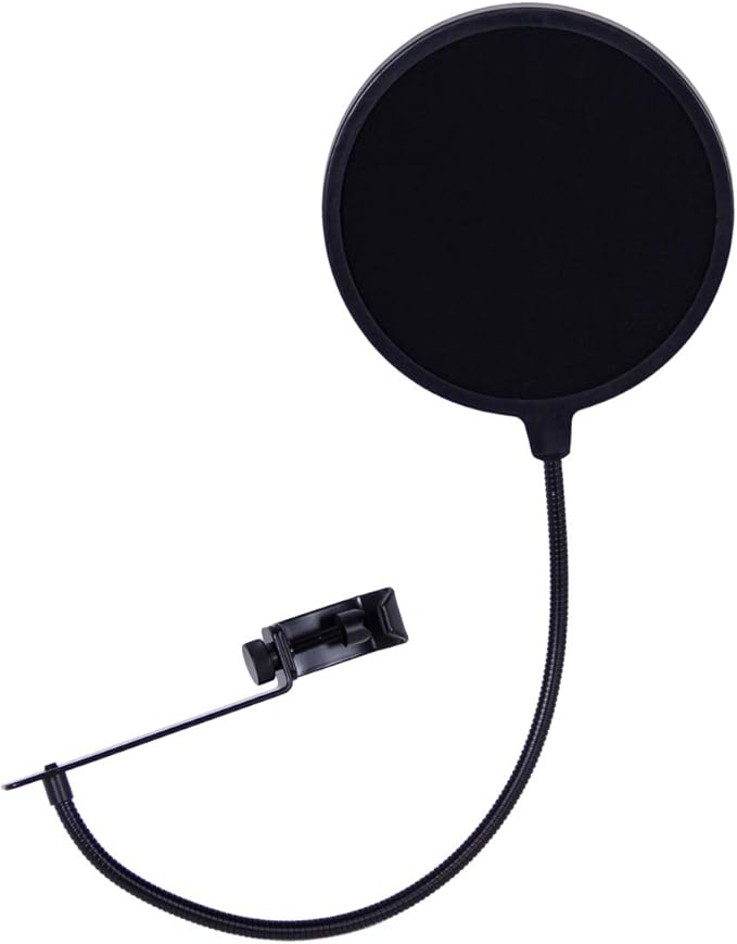 Audio-Technica AT2035 Cardioid Condenser Microphone Bundle with Pop Filter XLR Cable and Austin Bazaar Polishing Cloth