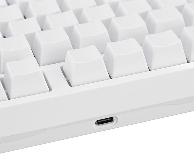 Bewinner 98 Key Mechanical Keyboard Tri Mode BT5.0 3.0 2.4GHz USB C Hot Swappable Custom Keyboard Brown Switch RGB Gaming Keyboard for PC Tablet