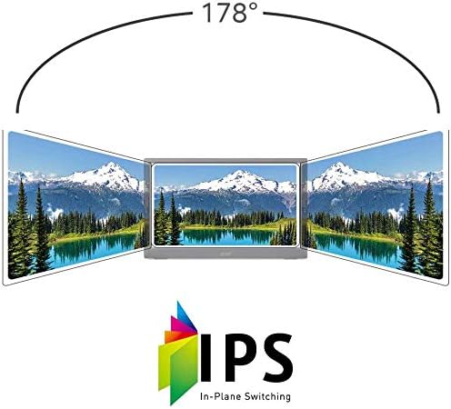 acer PM1-15.6 Monitor Display 1920x1080 60 Hz 16:9 15ms GTG 250 Nit (Renewed)